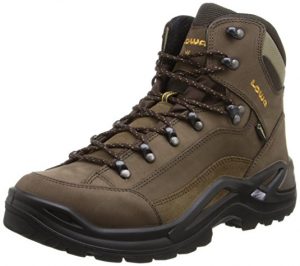  Lowa Renegade Men’s GTX Boo